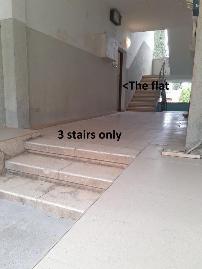 3 Stairs Only To Cozy Flat On Hillel St Apartment *